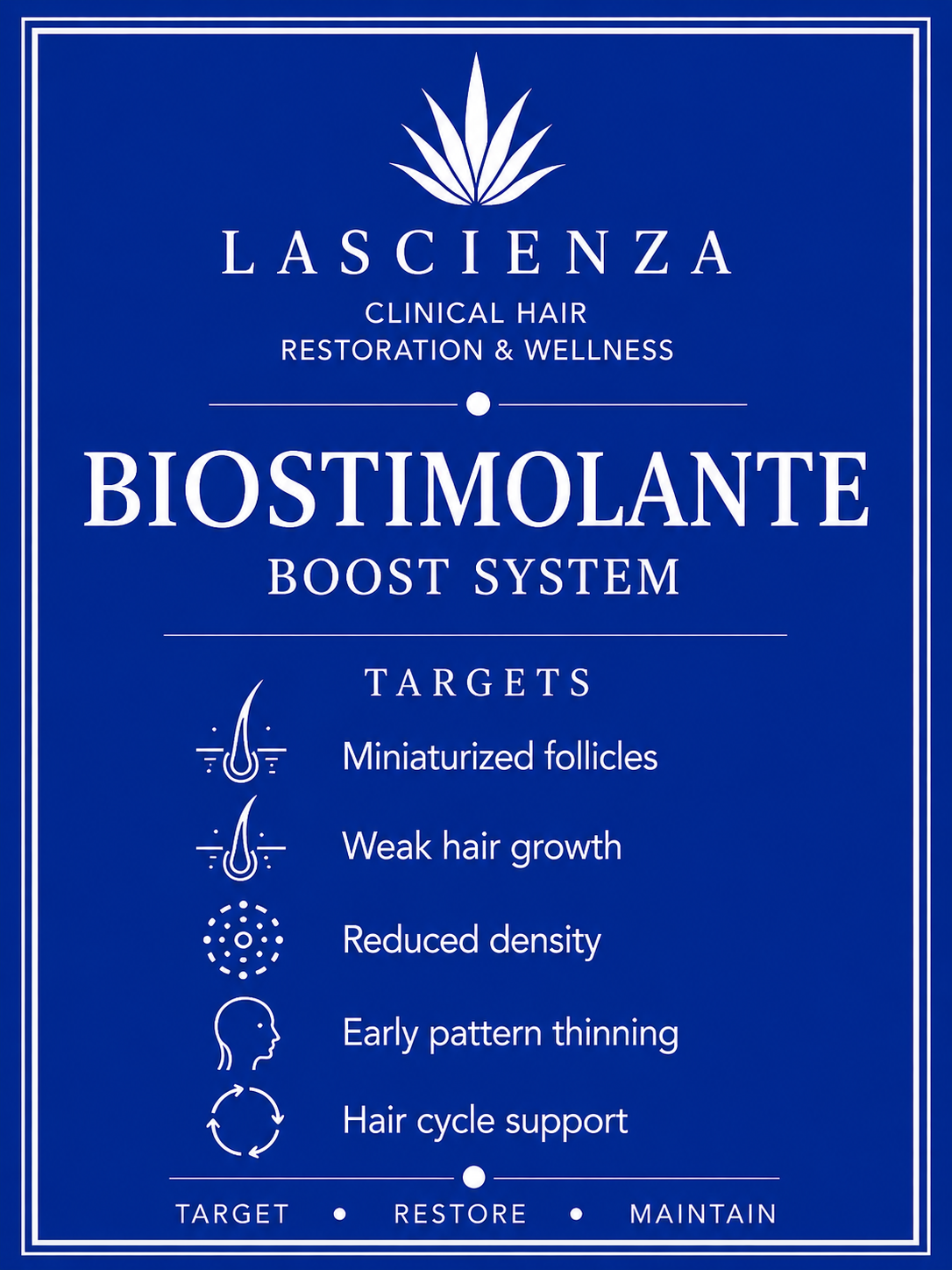 BioStimolante Boost System