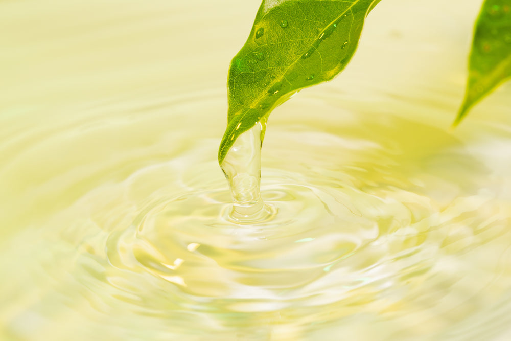 Marula_oil